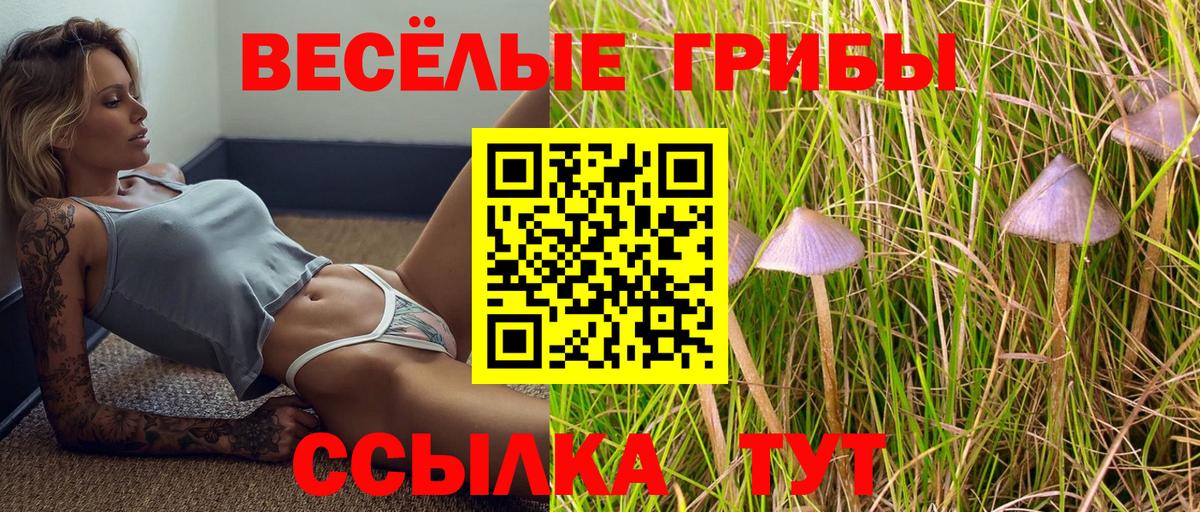 Псилоцибиновые грибы мухоморы Тайшет
