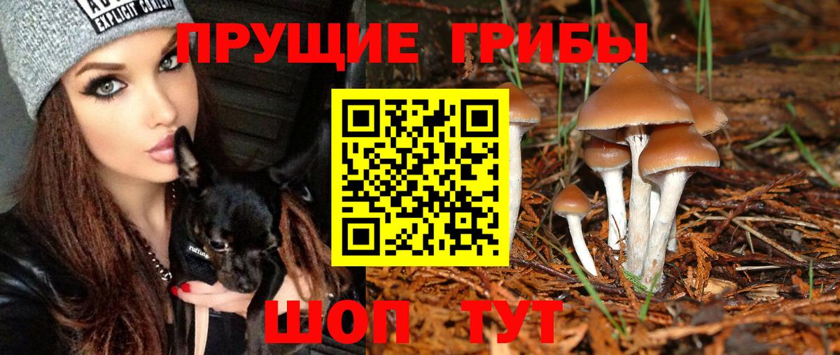 Галлюциногенные грибы Magic Shrooms  Вход с VPN  Тайшет 